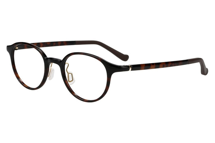 Medium-thick, rounded design Boston frame / SMART SKINNY
