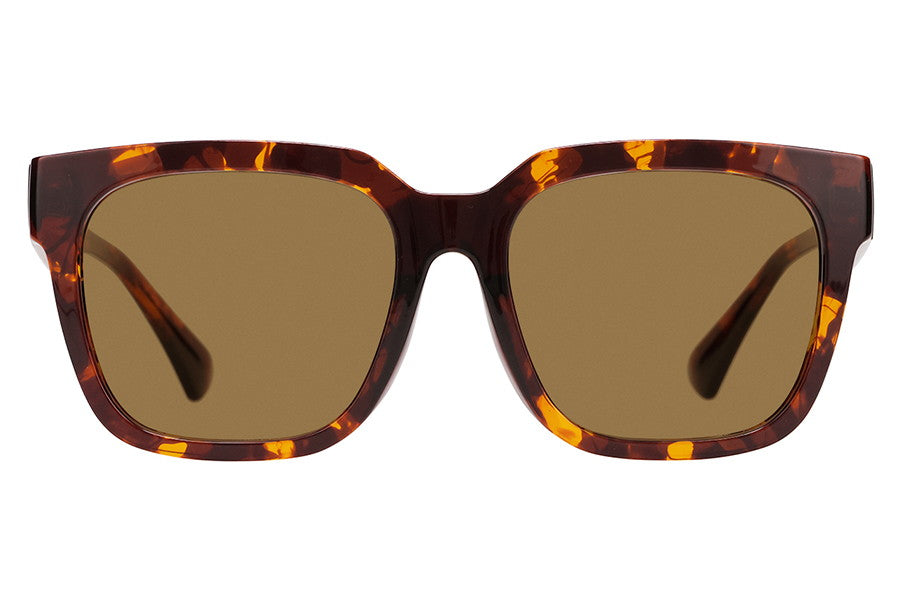 COLOR SUNGLASSES – Zoff Singapore