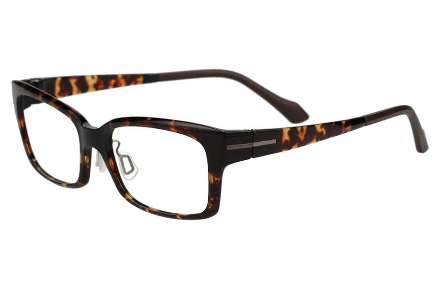 Wellington Frames with a Bold and Sharp Aura / SMART REGULAR PREMIUM